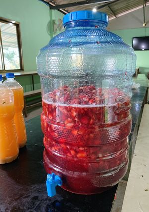 รูปของ ไวน์สตอเบอรี 🍓 🍷 / Strawberry wine 🍓 🍷