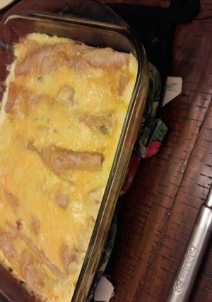 A picture of Chicken Enchiladas.