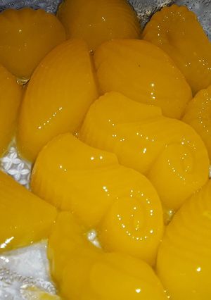 Foto resep Puding mangga