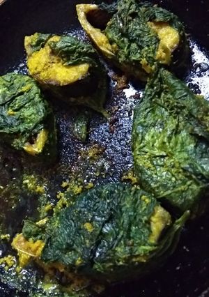 A picture of Laupathaye Ilish.