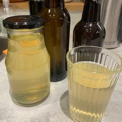 A picture of Kombucha from the garage lab.