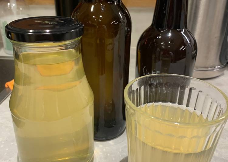 Simple Way to Prepare Ultimate Kombucha from the garage lab