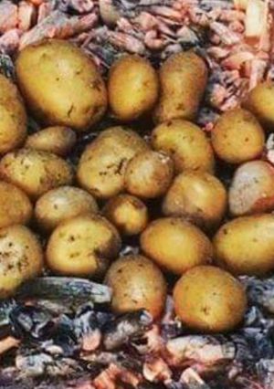 صورة لوصفة بطاطا على لفحم بنة هايلة