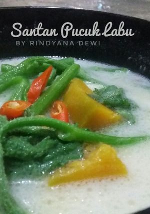 Foto resep Santan pucuk Labu