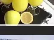 A picture of citrus fruits