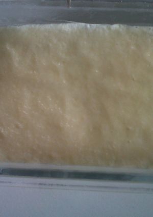 Foto resep Keju Mozarella KW