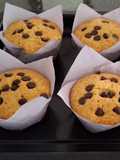 Vanilla Muffins