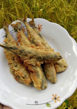 Foto resep Ikan kulit tepung garcep ala ayu