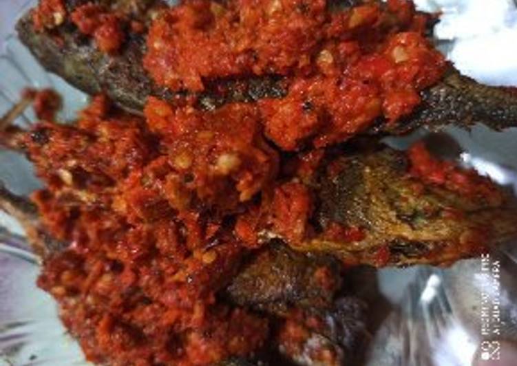 Cara Gampang memasak Ikan Kembung Balado Lezat