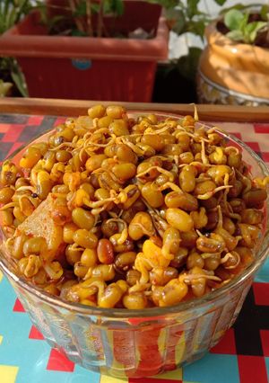 A picture of #SM# Sprouted moong usal.