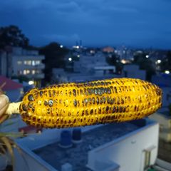A picture of Rosted sweet corn.