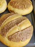 Pan dulce conchas