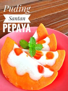 Foto resep Puding Santan Pepaya