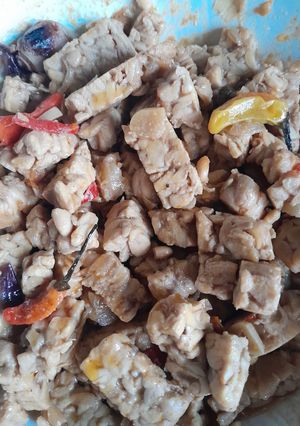 Foto resep Terik tempe