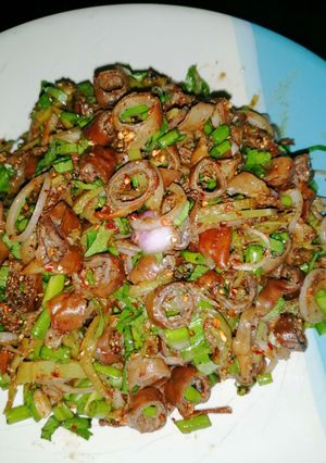 รูปของ ลาบไส้อ่อน