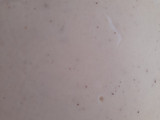 Bechamel al microondas