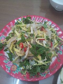 Hình của món Gỏi sứa.