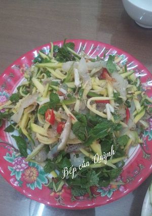 Hình của món Gỏi sứa.