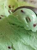Delicious Mint Chocolate Chip Ice cream