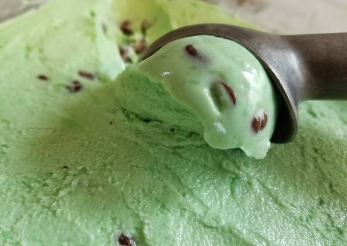 Recipe of Award-winning Delicious Mint Chocolate Chip Ice cream