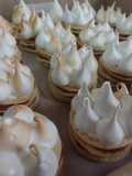 Mini rogel(es)