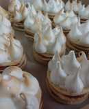 Mini rogel(es)