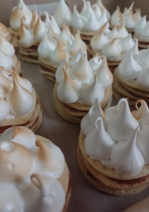Una foto de Mini rogel(es)