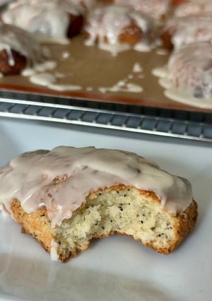 A picture of Lemon Poppy Seed Scones.