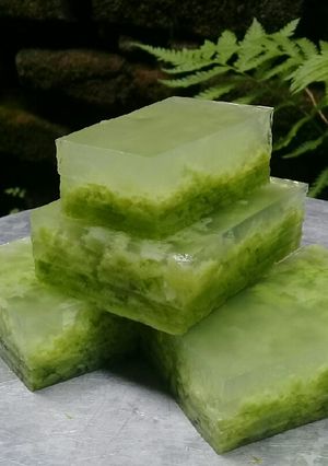 Foto resep Puding Lumut Ala Bunda Ra