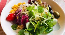Hình ảnh món Salad mùa thu