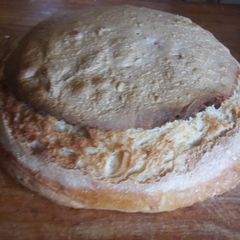A picture of Country loaf (No knead).