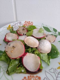 Foto de Salada de rabanete com Agrião