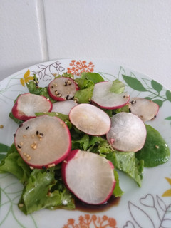 Foto de Salada de rabanete com Agrião