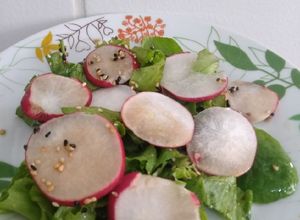 Foto de Salada de rabanete com Agrião