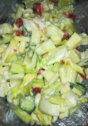 عکسی از دستور سالاد کرفس