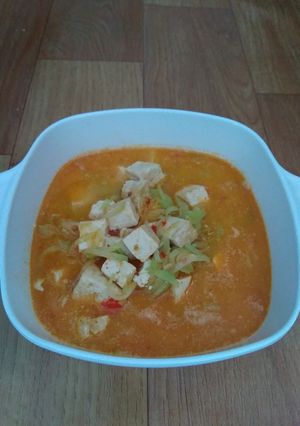 Foto resep Sayur santan labu siam + tahu