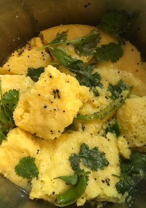 बेसन ढोकला(besan dhokla recipe in hindi) रेसिपी मुख्य फोटो