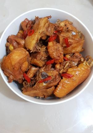 Hình của món Thịt gà kho tàu.