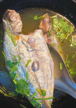 Hình của món Canh cá nấu ngót miền Trung.