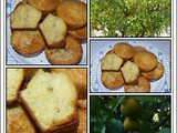 Magdalenas de tangerinas  (mandarinas)