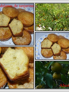 Una foto de Magdalenas de tangerinas (mandarinas)
