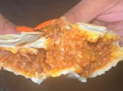 A picture of bacon burrito