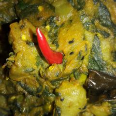 A picture of Palang niramishi.