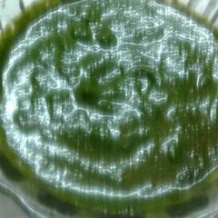 A picture of Mint corriender chutney.