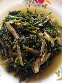 Foto resep Tumis Pakis Teri