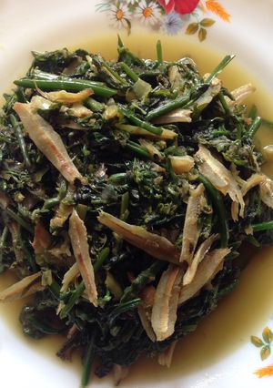 Foto resep Tumis Pakis Teri