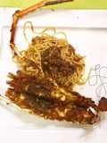 River Prawn And Pasta In Satay Sauce