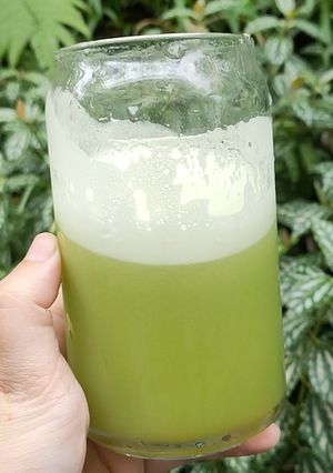 Foto resep Jus Celery