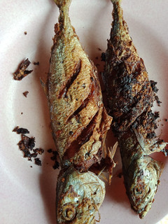 Foto resep Ikan Kembung Goreng Rumahan