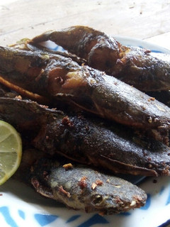 Foto resep Lele goreng bumbu kunyit
